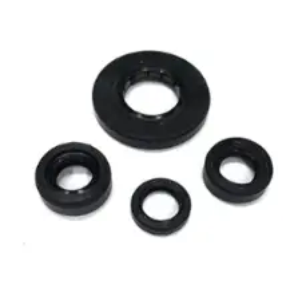 JUEGO RETENES TVS RTR 160 4V (NO COMPATIBLE VERSION FI) - RONIN 250